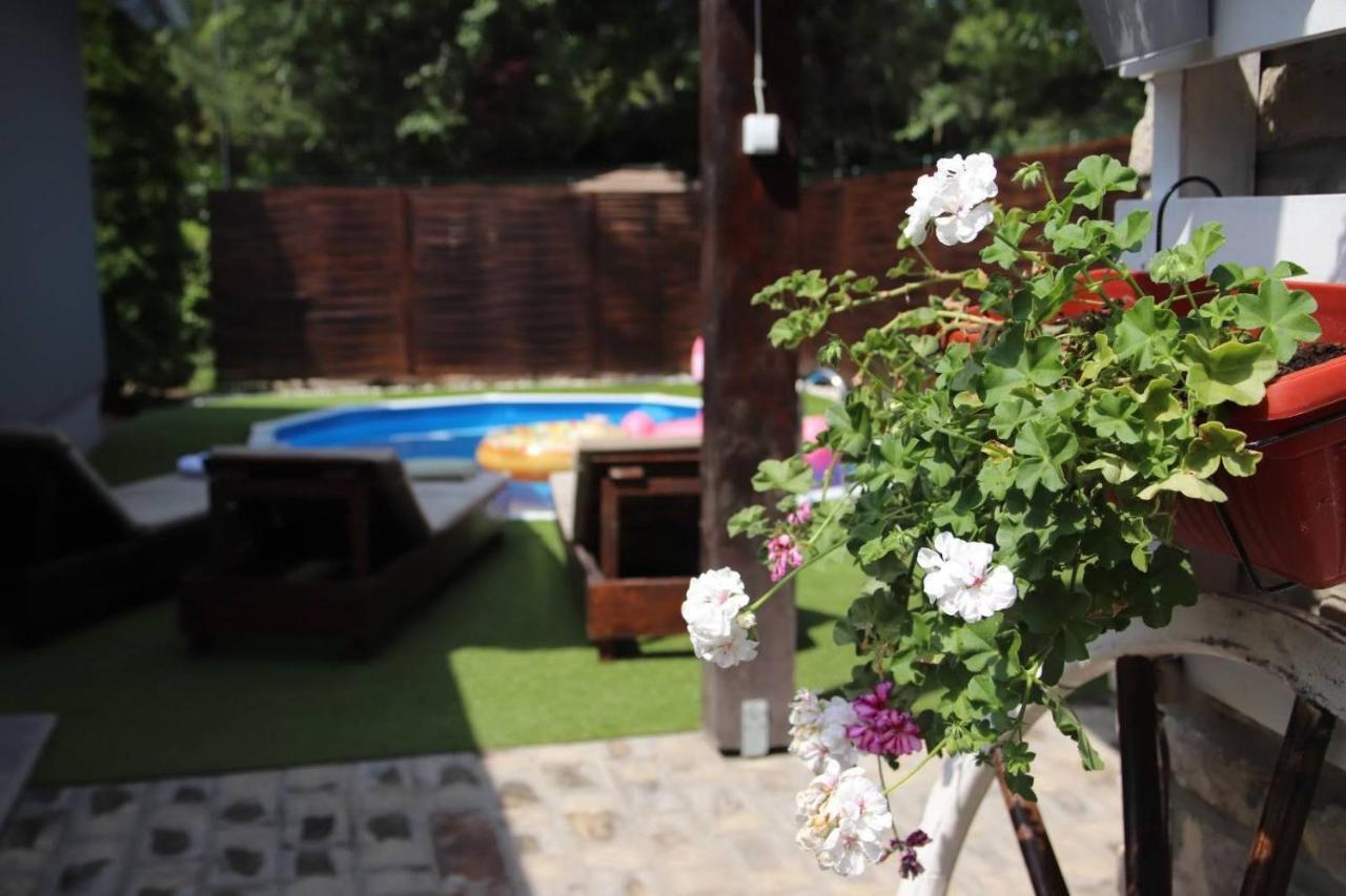 Palic Vila Masa Pr Emina Stipancevic Palić Exterior foto