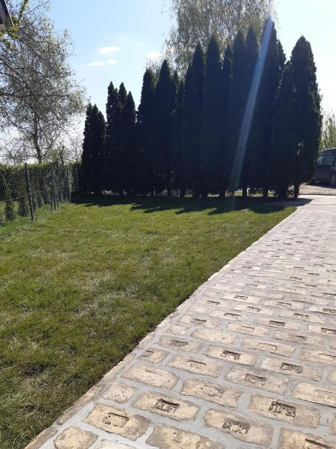 Palic Vila Masa Pr Emina Stipancevic Palić Exterior foto